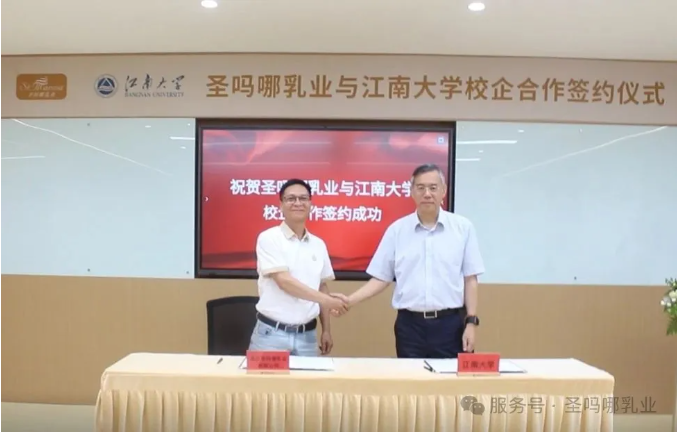 _2025-06-17_203721_376